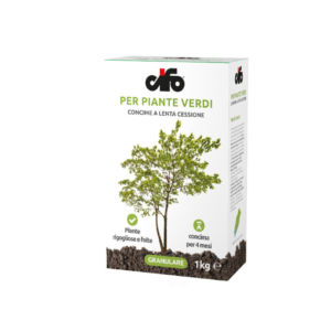 Cifo Concime Granulare per Piante Verdi kg1