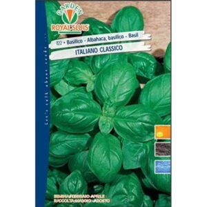 Basilico Italiano Classico