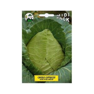 Cavolo Cappuccio Cuor di Bue Grosso