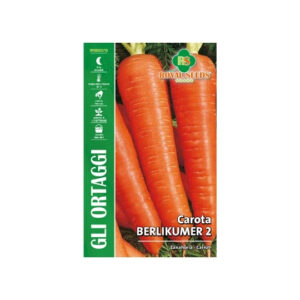 Carota BERLIKUMER 2