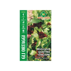 Insalata Misticanza Quattro Stagioni