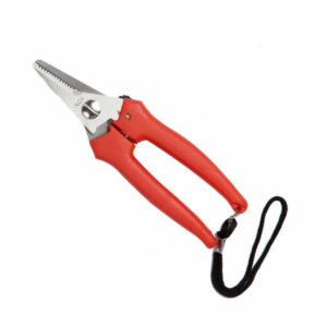 Ausonia Forbice Cogliuva INOX 19cm