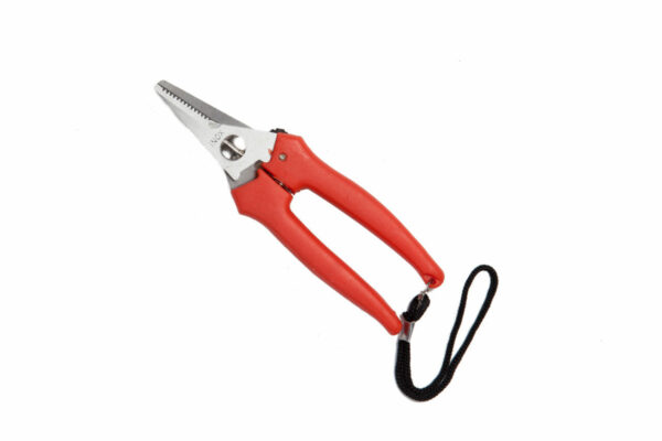 Ausonia Forbice Cogliuva INOX 19cm