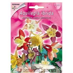 AQUILEGIA IBRIDA MISCUGLIO