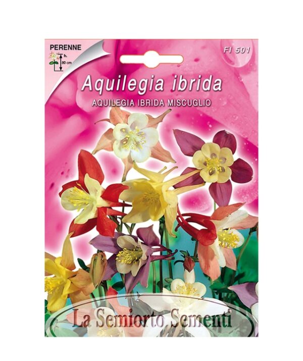 AQUILEGIA IBRIDA MISCUGLIO