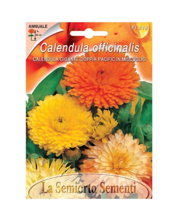CALENDULA GIGANTE DOPPIA PACIFIC IN MISCUGLIO