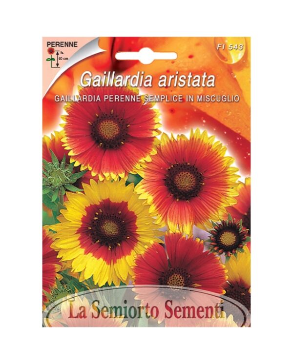 GAILLARDIA PERENNE SEMPLICE IN MISCUGLIO