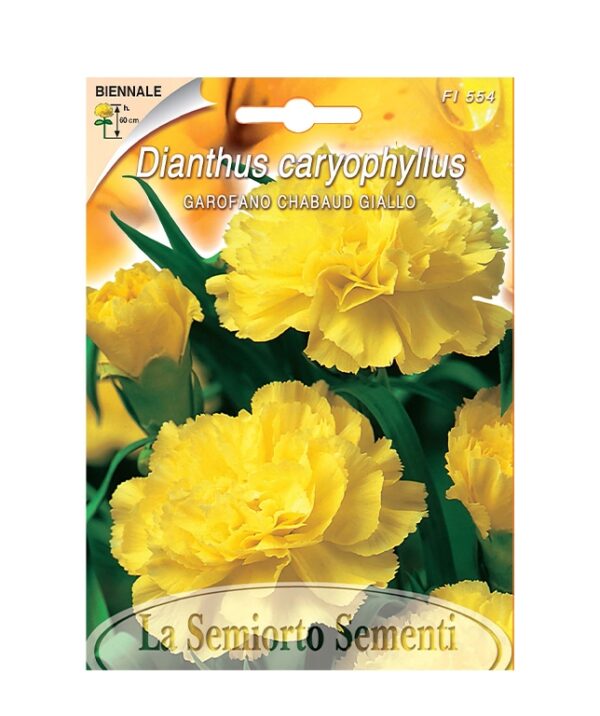 GAROFANO CHABAUD GIALLO