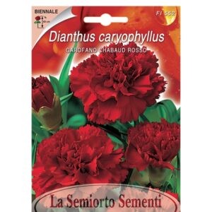 GAROFANO CHABAUD ROSSO