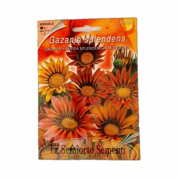 GAZANIA HYBRIDA SPLENDENS IN MISCUGLIO