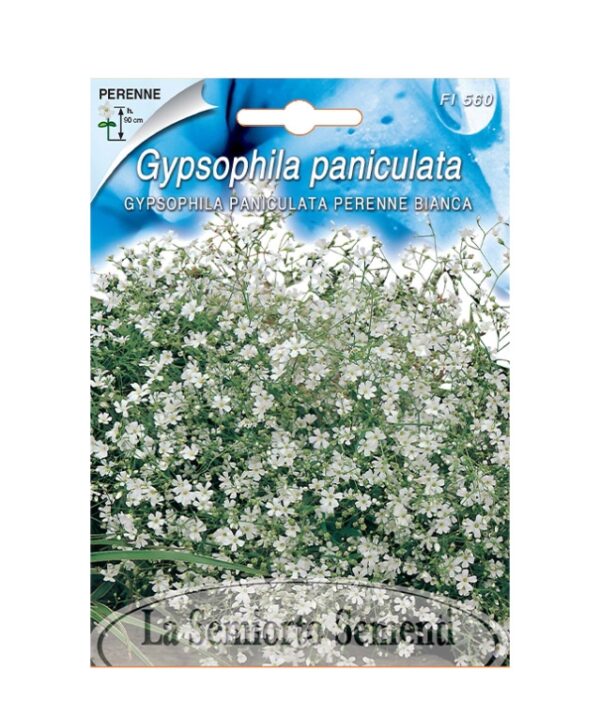 GYPSOPHILA PANICULATA PERENNE BIANCA