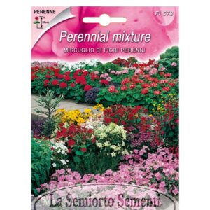 MISCUGLIO DI FIORI PERENNI