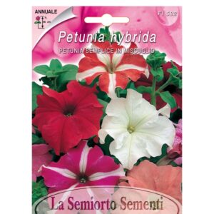 PETUNIA SEMPLICE IN MISCUGLIO