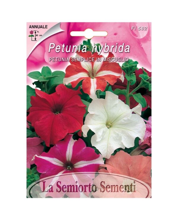 PETUNIA SEMPLICE IN MISCUGLIO