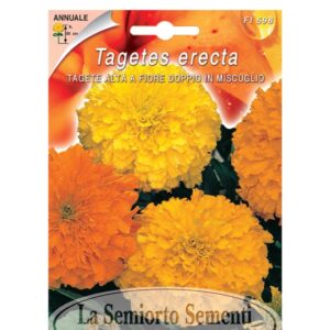 TAGETE ALTA A FIORE DOPPIO IN MISCUGLIO