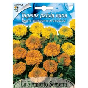 TAGETE NANO DOPPIO IN MISCUGLIO